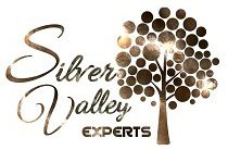 silver valley experts
